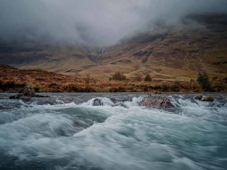 Минприроды РФ создало штаб из-за экологической ситуации в Дагестане