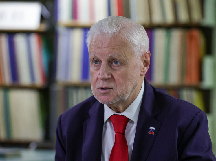 Миронов: охрану школ нужно доверить Росгвардии