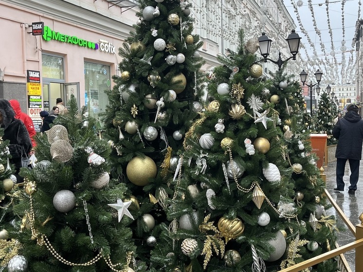 «Сказочное настроение» и путешествие на паровозе: где искать новогоднюю магию в посёлке Энергетик