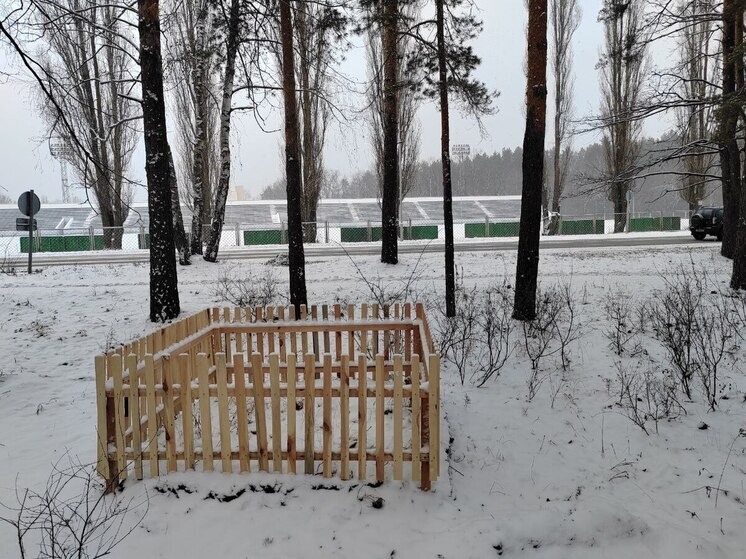 В Заречном обновили забор у самого старого муравейника города