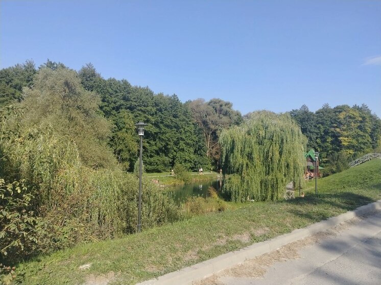 Родник «Криница» в селе Шопино преобразится по нацпроекту