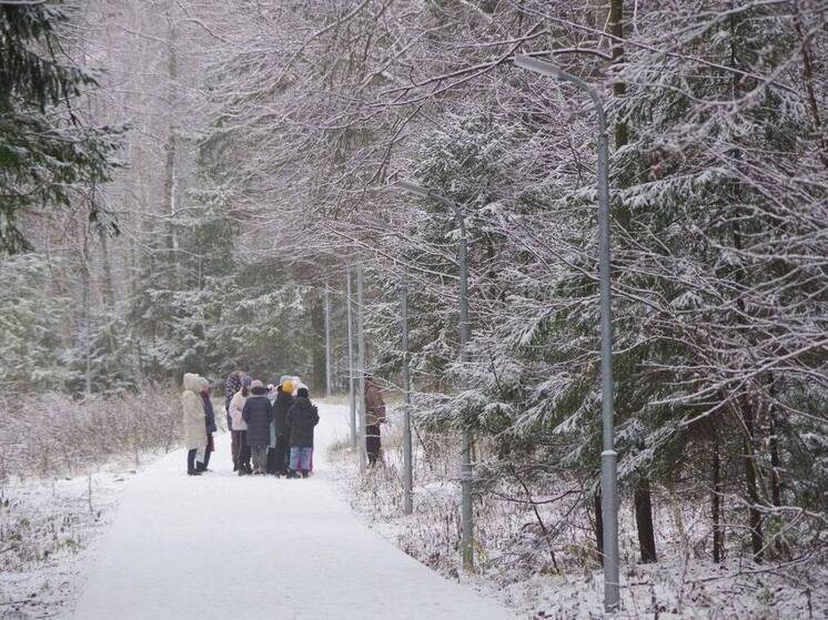 Синоптик предупредил: предновогодняя неделя в Серпухове может быть морозной и снежной