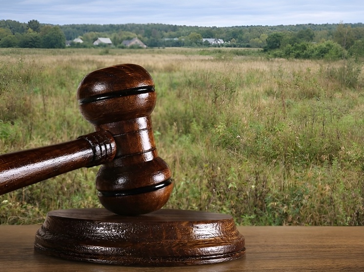 В Чебоксарском округе оштрафовали владельцев заброшенных сельхозземель