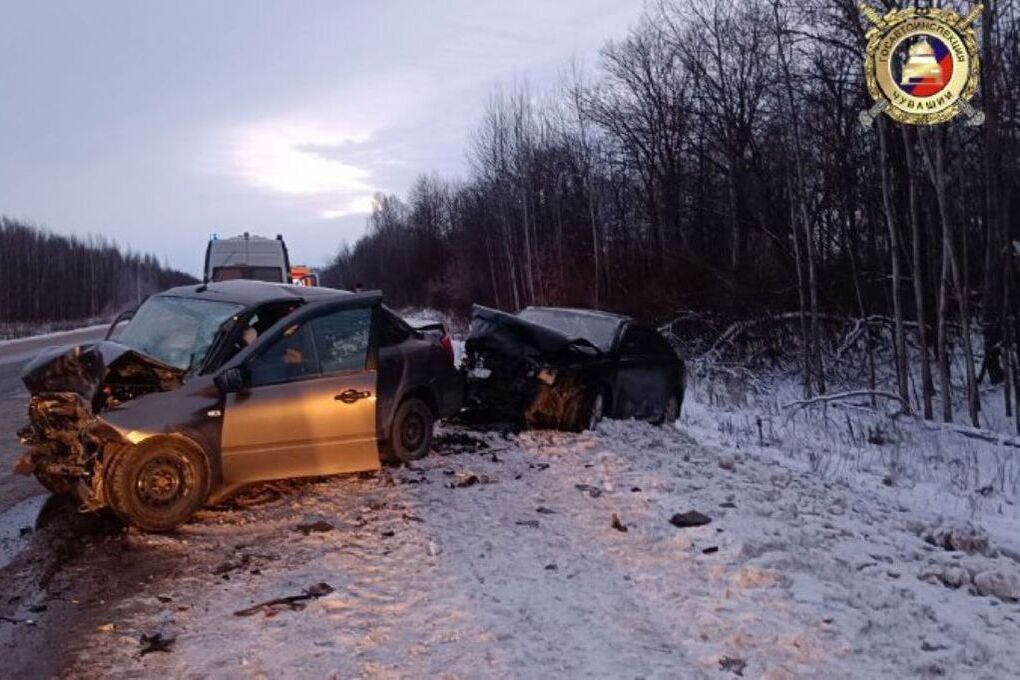 Фото: телеграм-канал Госавтоинспекция ЧУВАШИИ