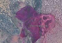 Тревожные снимки из пустыни в американском штате Нью-Мексико вызвали в Интернете немалые опасения по поводу бедствия библейских масштабов – вроде чумы