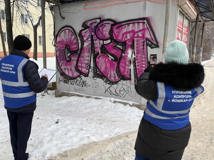 Муниципальный контроль в Йошкар-Оле за неделю выявил 306 нарушений