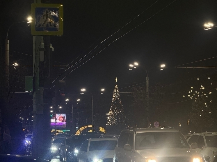 В Ростове не будет торжественного открытия главной городской елки