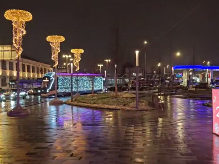 В новогоднюю ночь в Москве ожидается снегопад