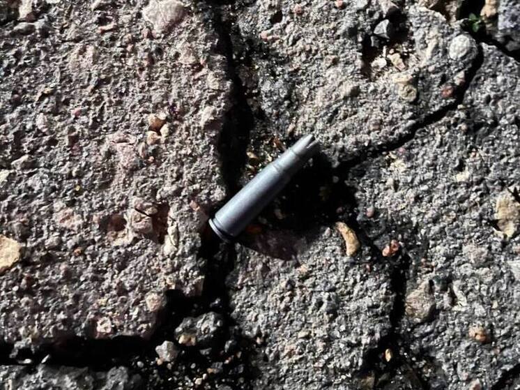 В Ртищево после взрыва гранаты и стрельбы будут судить местного жителя