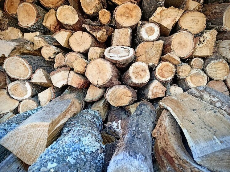 Житель Городищенского района может потерять свободу из-за незаконной заготовки дров