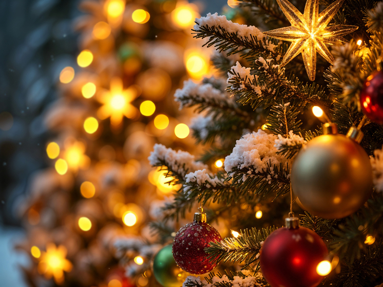 В Херсонской области начали работать елочные базары