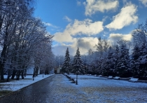 На пленарном заседании Государственная Дума РФ приняла в третьем, окончательном чтении закон, продлевающий действие временных норм в сфере охраны окружающей среды на территориях ДНР, ЛНР, Херсонской и Запорожской областей