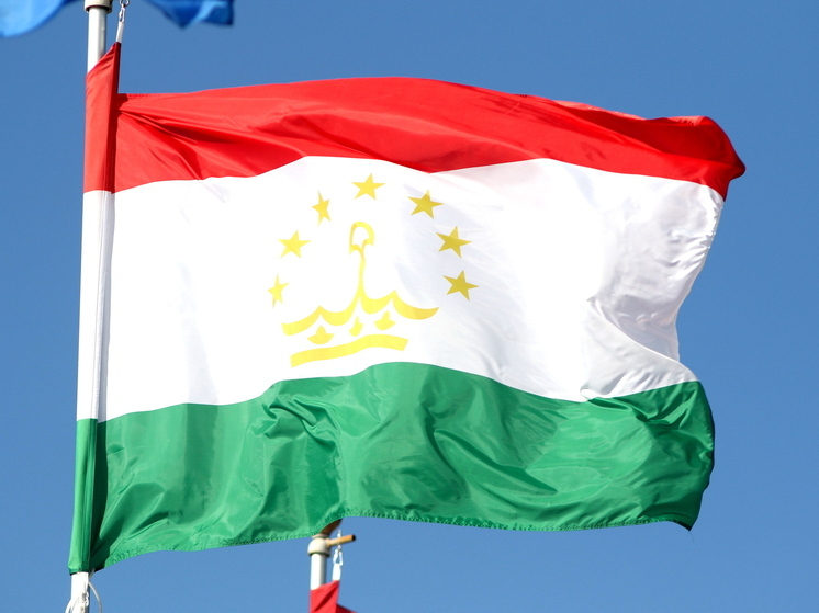 В связи с убийством ребенка в подмосковном Одинцово Таджикистан предпринял дипломатический демарш