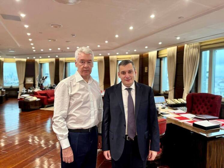 Хинштейн обсудил с Собяниным создание рубежа противодействия БПЛА