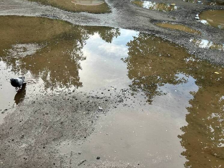 Глава СК поручил возбудить дело после жалоб ленинградцев на дорогу с ямами