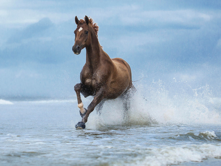 Шаман Карагай рассказал о меню и подарках на Новый год