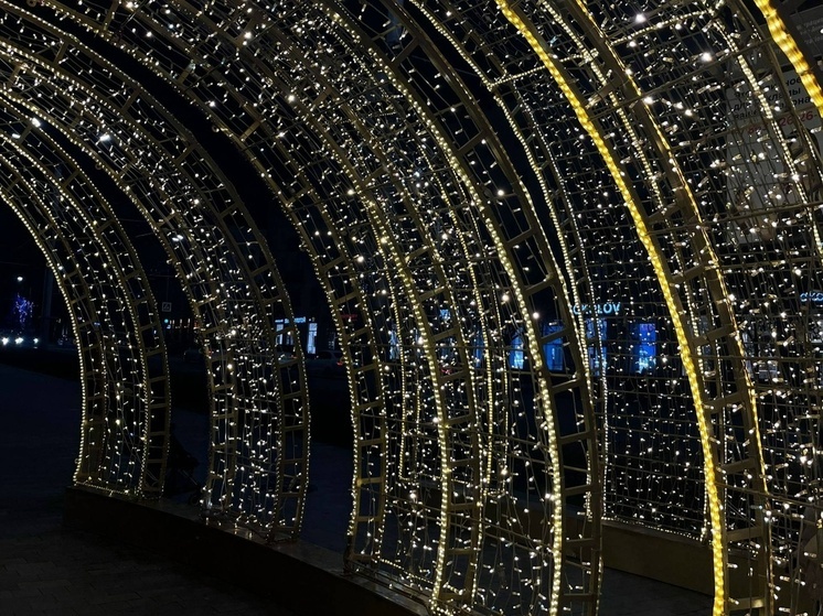 Юрист из Ростовской области рассказала о самых популярных штрафах в новогоднюю ночь