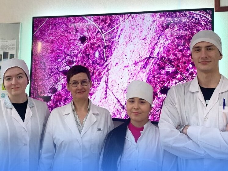 Югорские медики в числе лучших: команда ХМГМА заняла 6‑е место на всероссийской олимпиаде «Эмбриофолия»