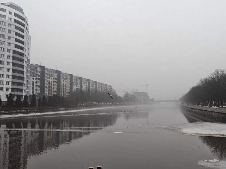 Калининград оказался исключением на фоне роста цен на новостройки