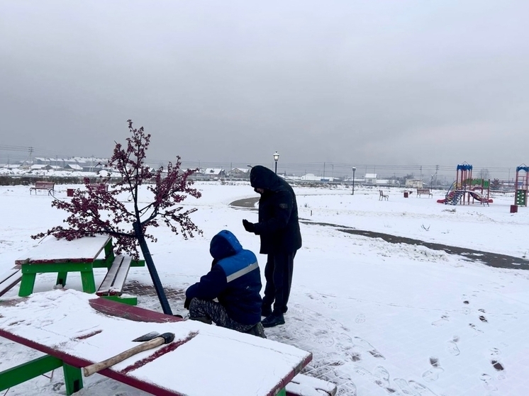 Центральная часть Кызыла станет новогодней к 25 декабря