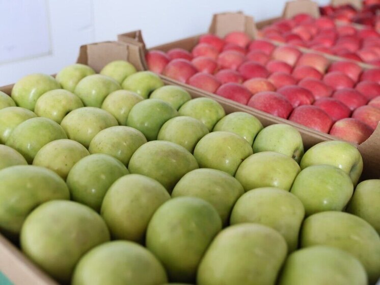 Минсельхоз Кубани назвал предварительные итоги сбора урожая фруктов в 2025 году