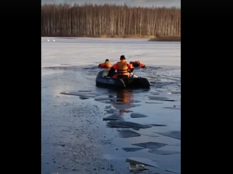 В Ярославском районе спасатели разобрались с белыми лебедями