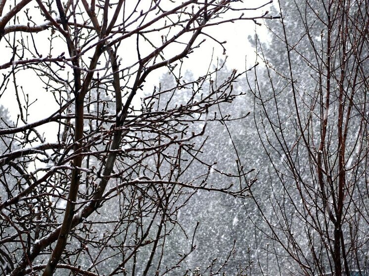 Жителей Хакасии предупредили о сильном снегопаде и ветре 18 декабря