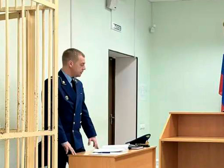 Брянца лишили свободы за дискредитацию Российской армии