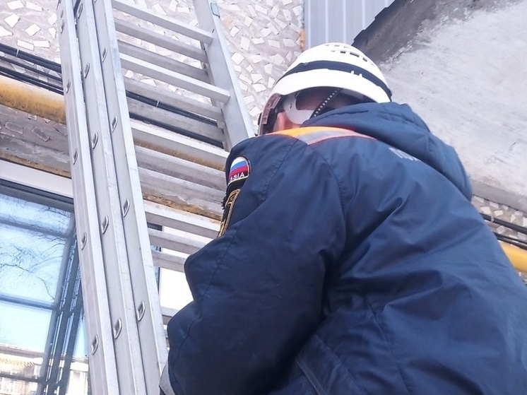 Пензенские спасатели помогли пензячке попасть к запертому мужу