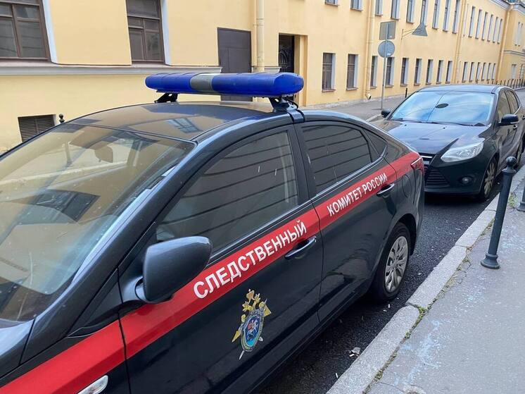 В Гатчине мужчину задержали за связывание скотчем сына сожительницы