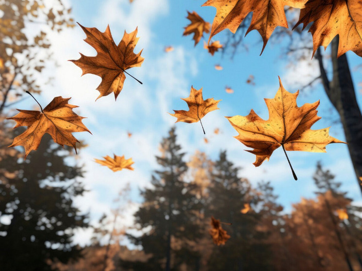 10 градусов тепла прогнозируют в Херсонской области 18 декабря