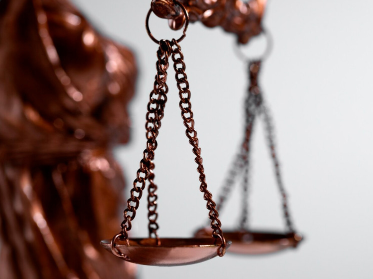 Жительницу Брянска осудили за мошенничество с выплатами от государства