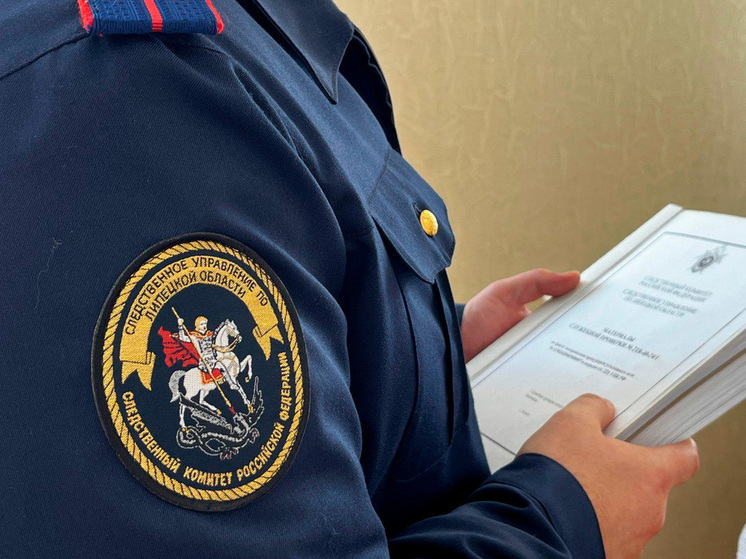 В Липецкой области водитель-нарушитель попытался подкупить полицейских