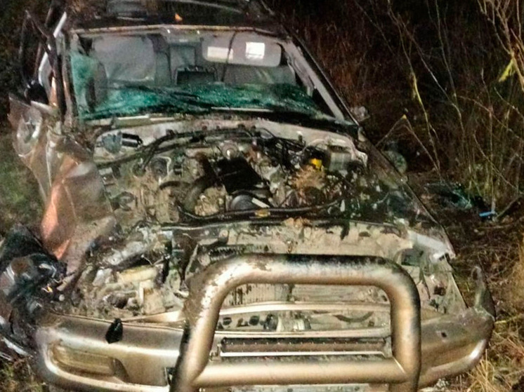 Липчанин отправится на 5 лет в колонию-поселение за смертельное ДТП