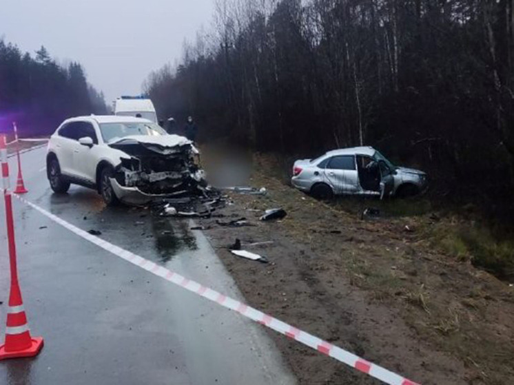 В Маловишерском округе 79-летний водитель стал виновником гибели человека