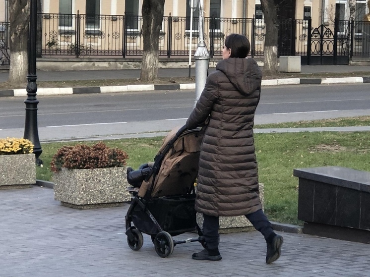 Региональный материнский капитал получили более 1,7 тысячи семей Вологодской области