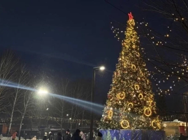 Районы Новосибирска украсили к Новому году