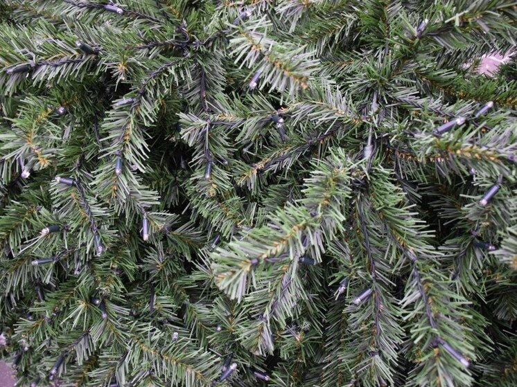 На центральных площадях Тамбова появились главные новогодние ели