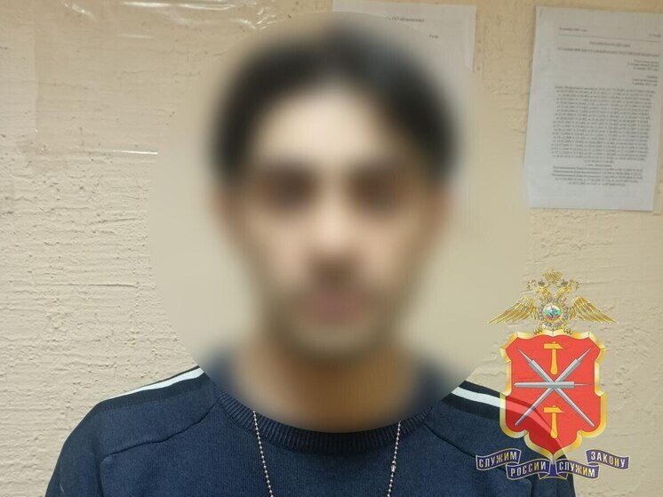 В Туле полицейские установили подозреваемого в краже ёлочных украшений