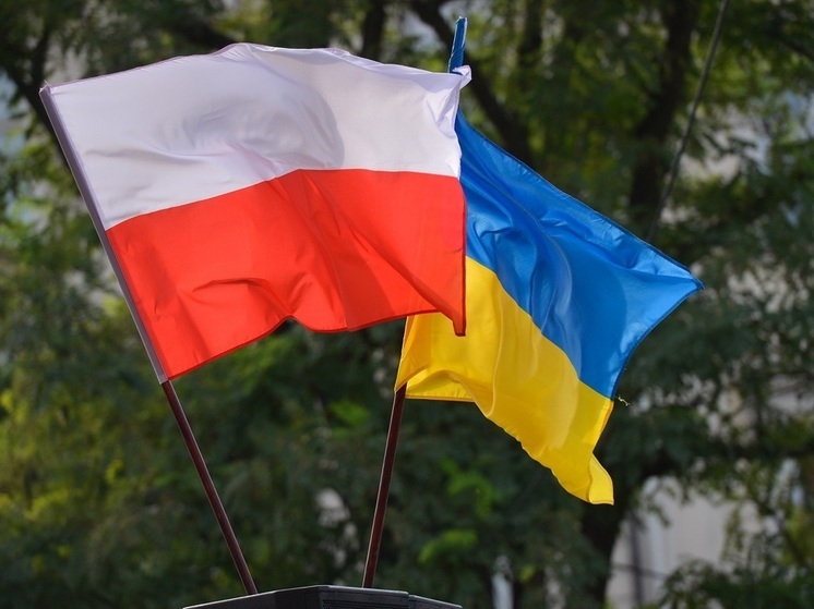 В МВД Польши объявили о намерении лишить украинцев особых прав и привилегий в стране