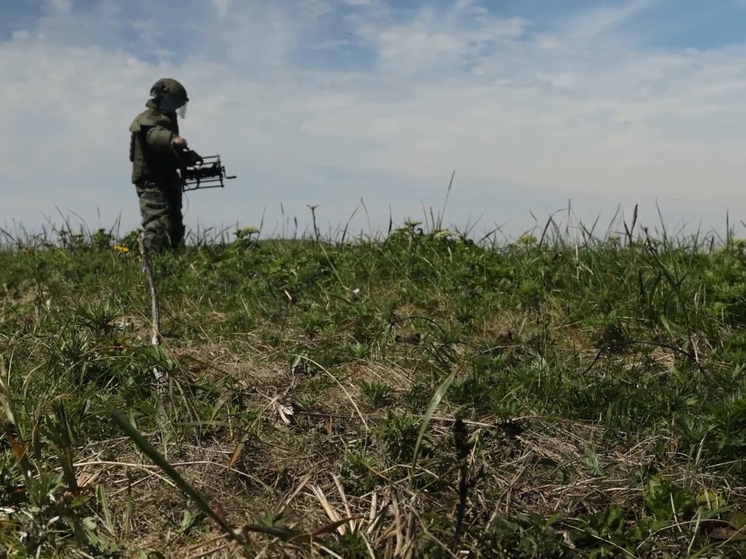 Белоусов рассказал о разминировании приграничных территорий