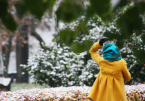 Зима не спешит в центральные регионы РФ