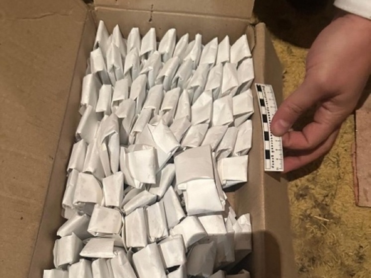 Ранее судимая астраханка хранила в своем доме 85 свертков с наркотиком