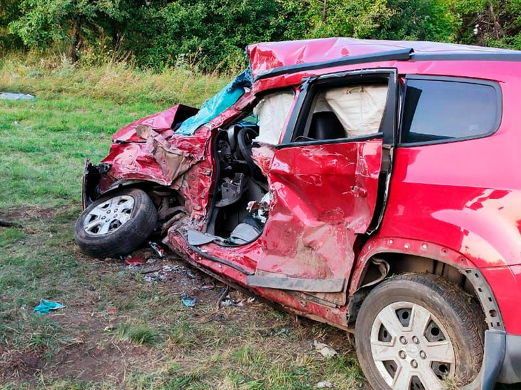 В Липецком районе осудили водителя грузовика, погубившего отца и дочь
