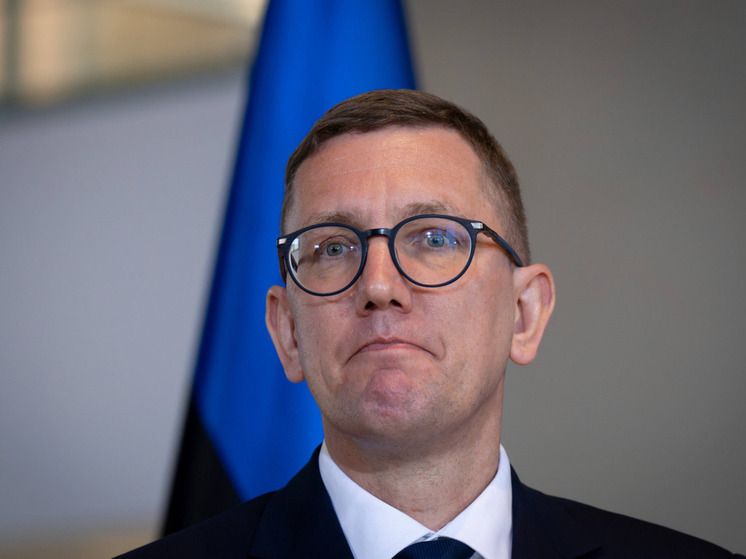 Малинен обвинил премьера Эстонии Михала в разжигании конфликта с Россией