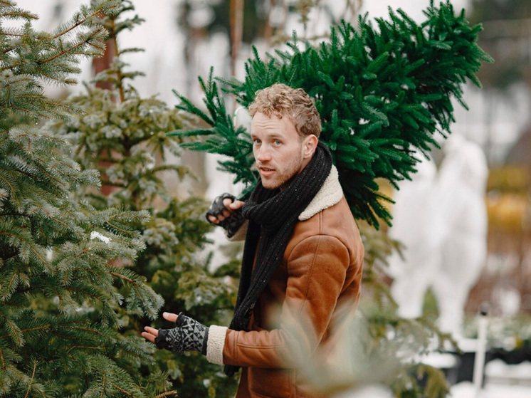 Липчанам напомнили о штрафах за незаконную вырубку новогодних красавиц