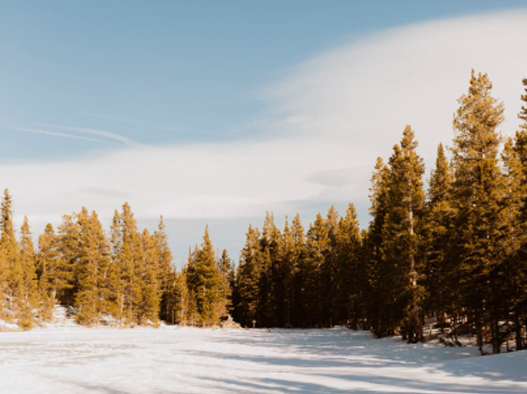 18 декабря в Брянской области не ожидается осадков