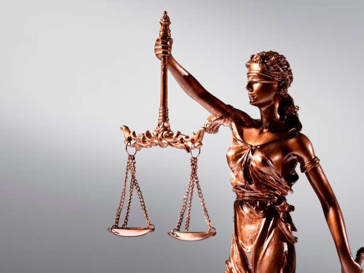 В Брянске осудили помощника сетевых мошенников