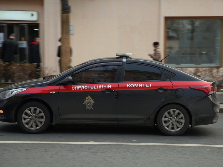 В школе в Одинцово, где убили ученика, уже происходило нападение с ножом