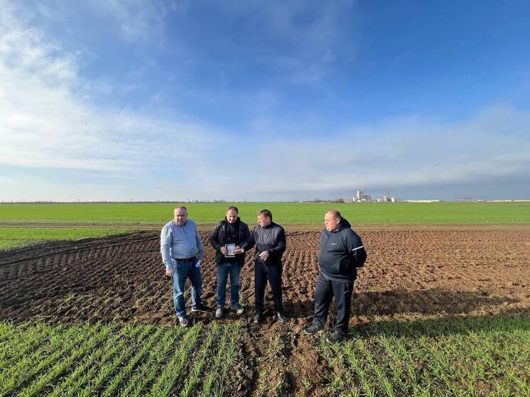 В Крыму оценивают потенциал озимых зерновых культур